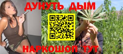 индика Заводоуковск