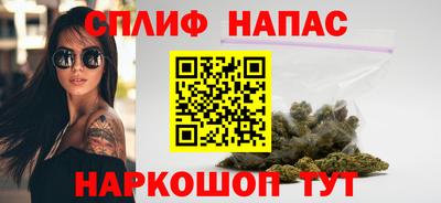 индика Заводоуковск