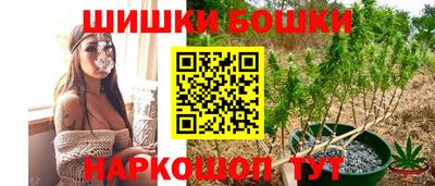 индика Заводоуковск